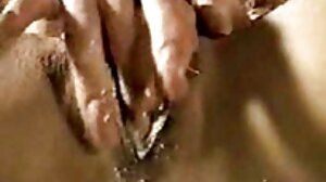 రీలోఫే